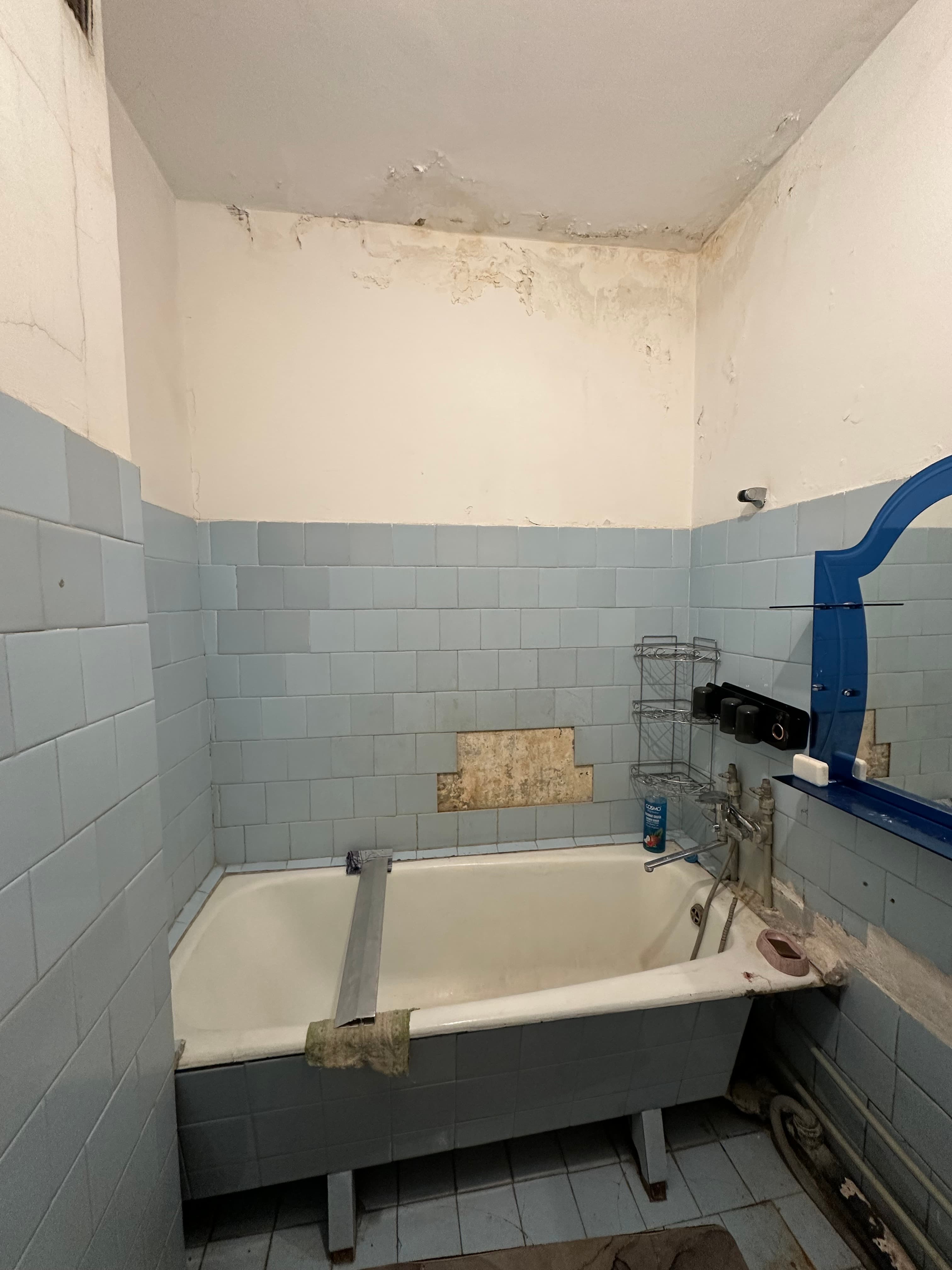 Property 100537 - Image 7