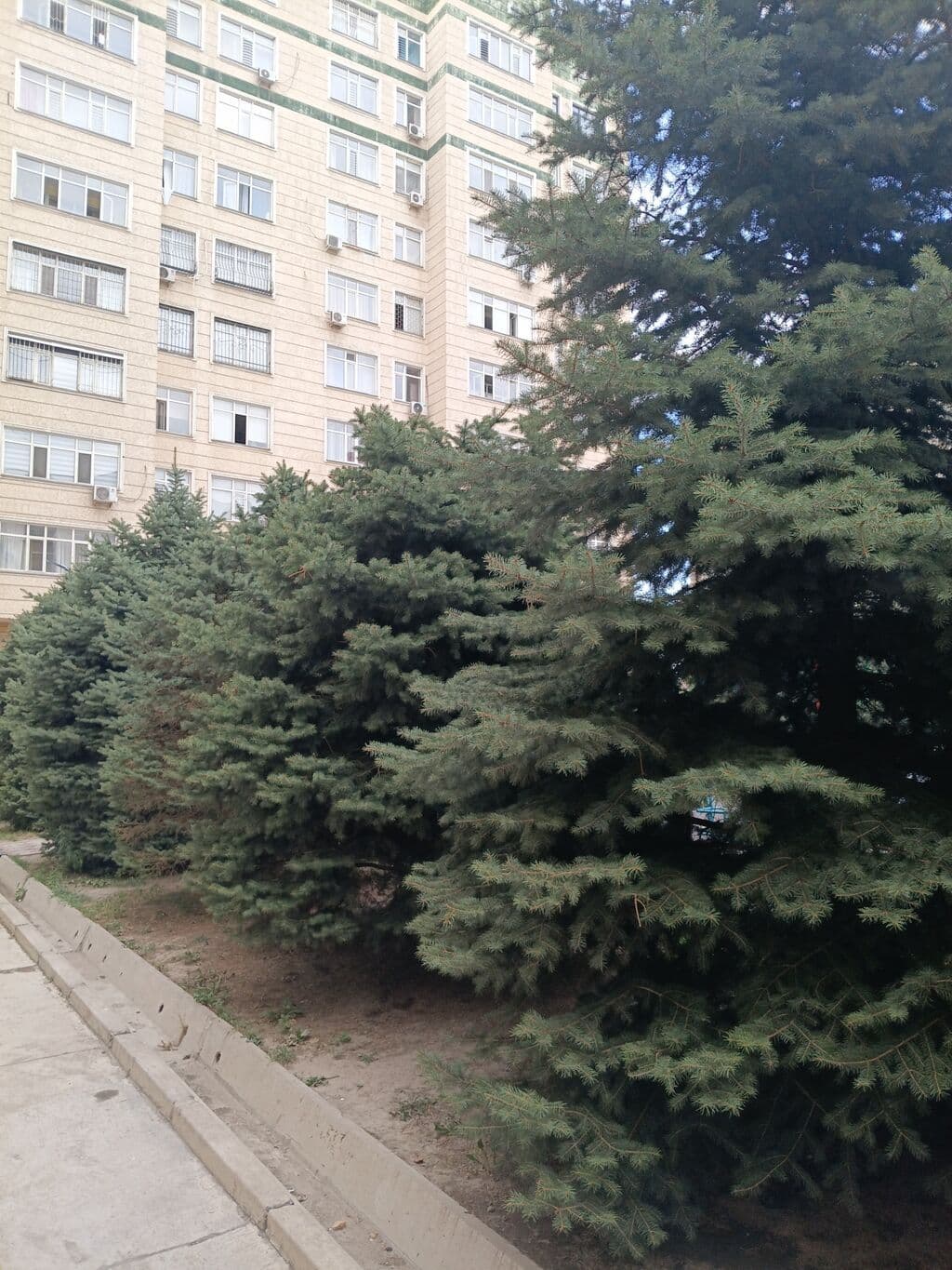 Элитка, 4 ком, 110 м2, этаж 7/10, Сост: Евроремонт - фото 27