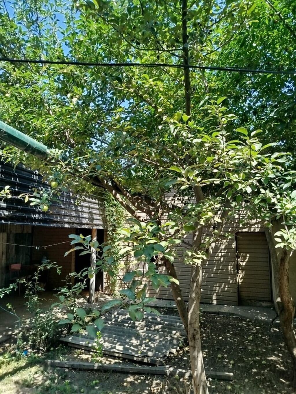 Property 96450 - Image 6