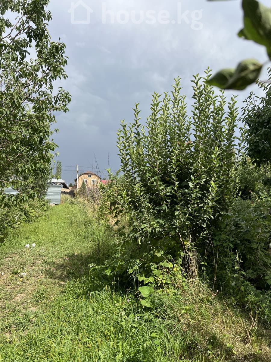 Property 100814 - Image 4
